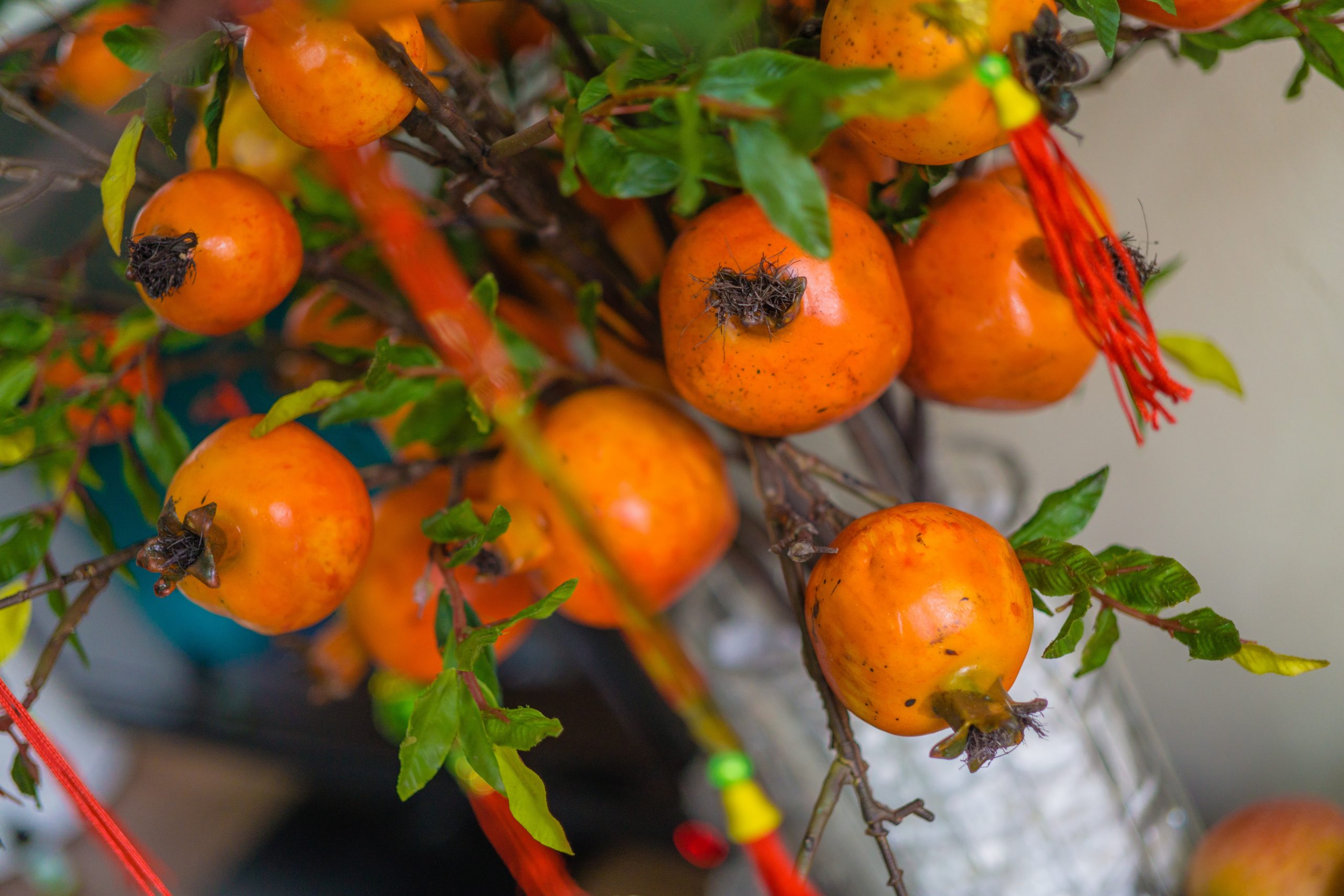 Persimmons