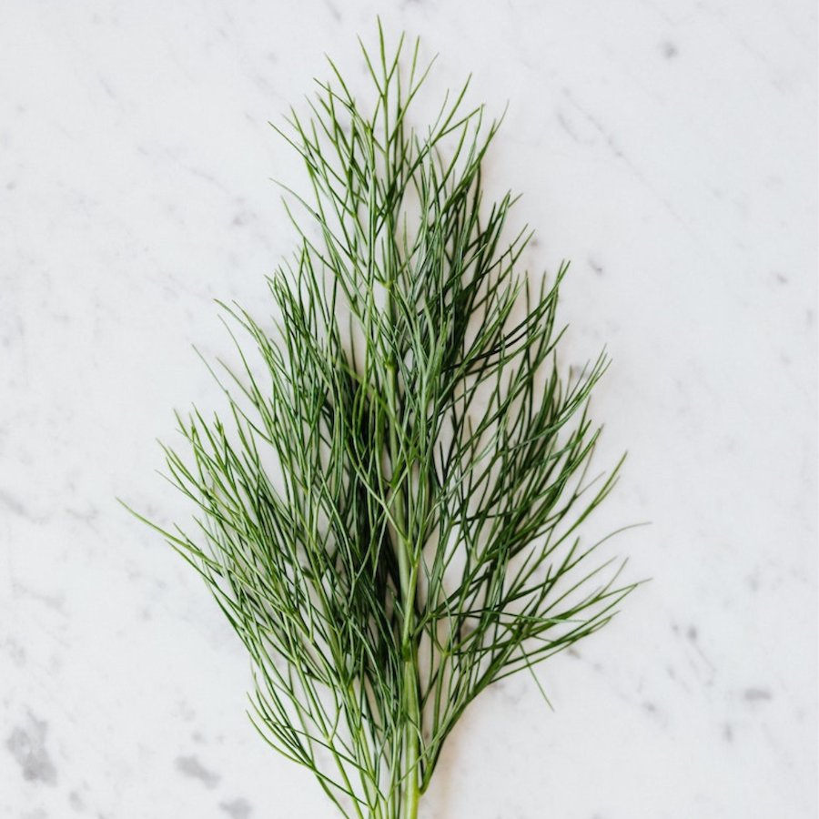 Sprig of dill