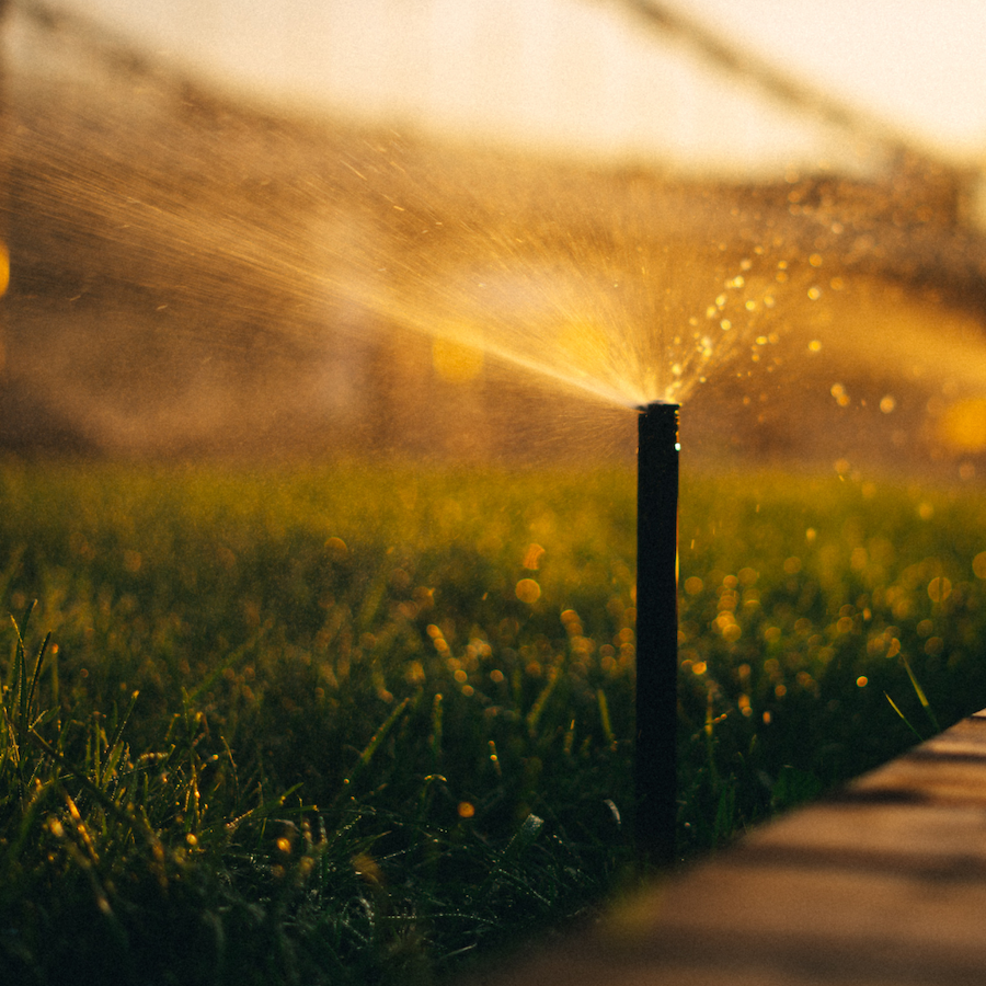 How to water your yard