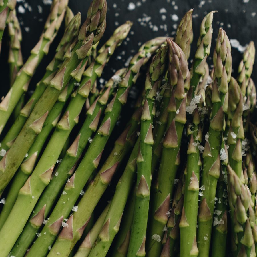 how to grow asparagus