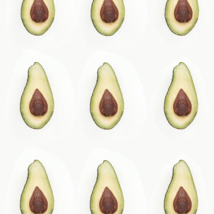 how to care for avocado seeds
