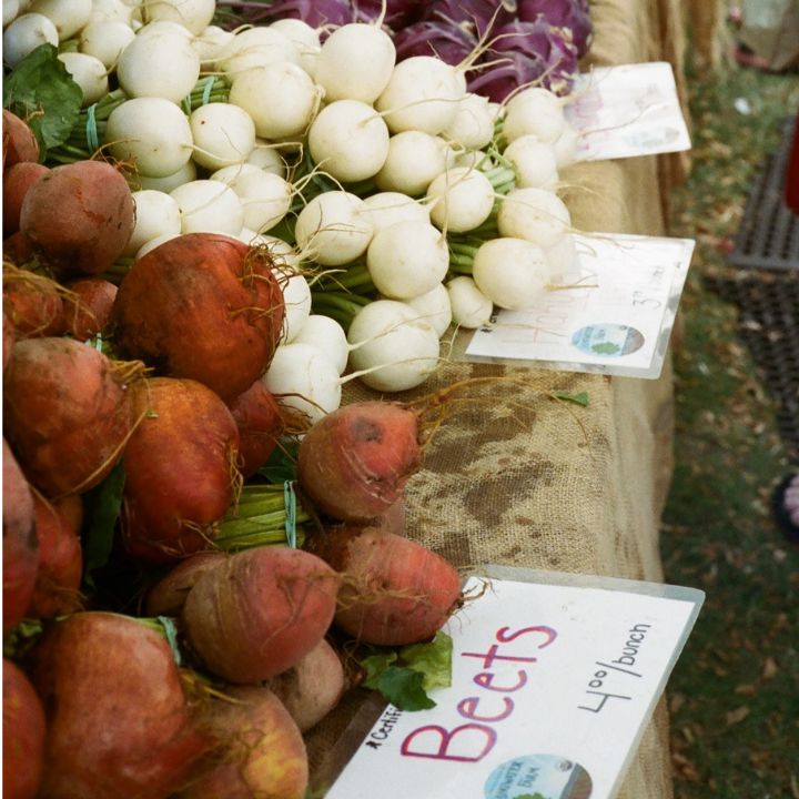 how much do you water beets