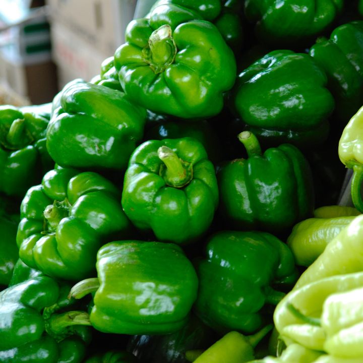 how to care for bell peppers in pots