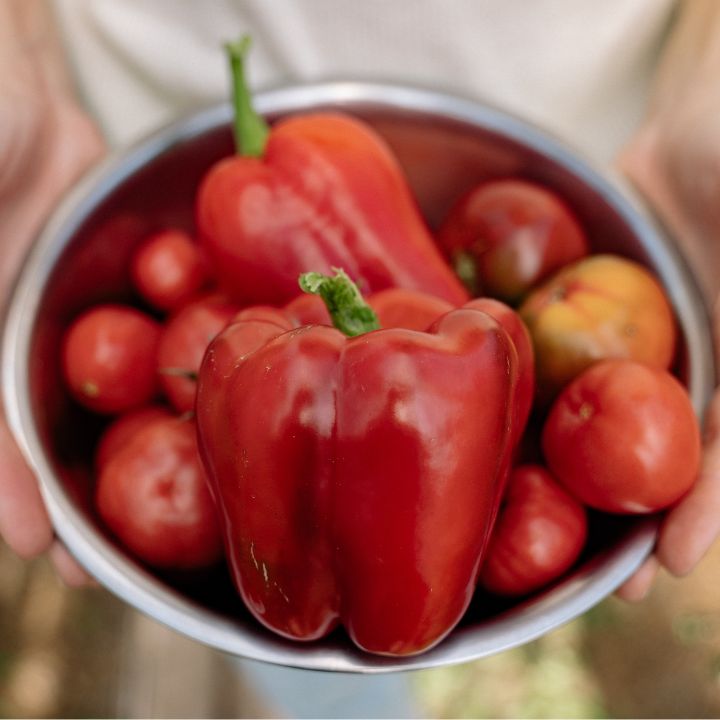 how to care for bell peppers