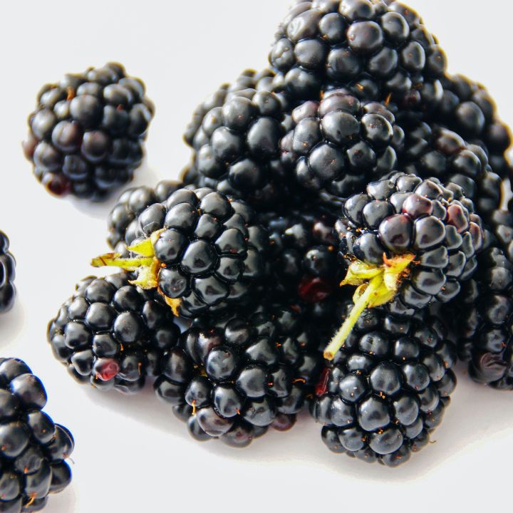 how to care for blackberry plants