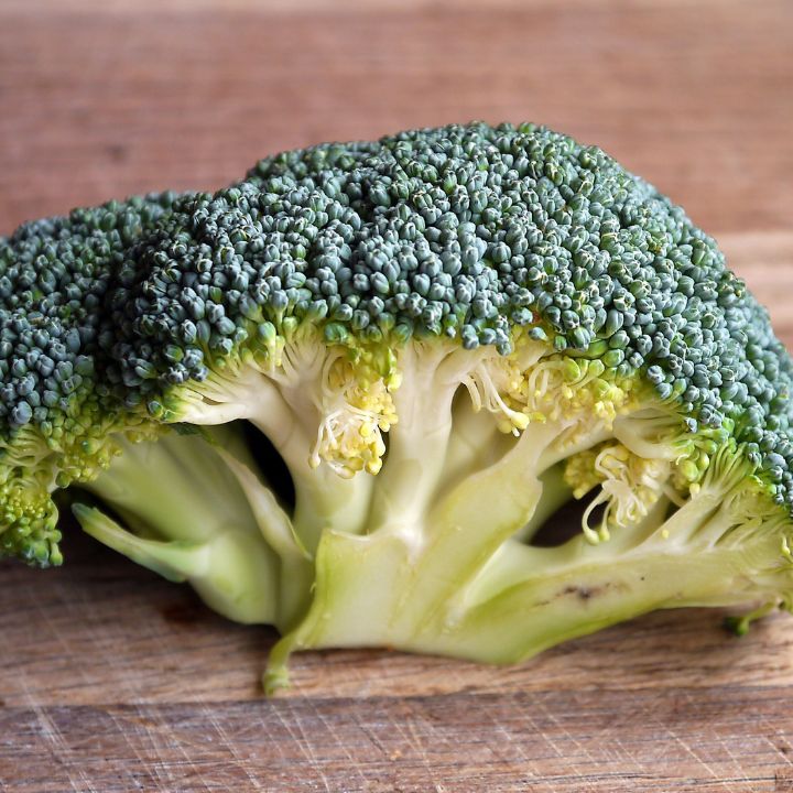 how to take care of broccoli plants