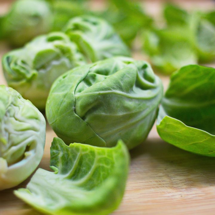how to grow and care for Brussels sprouts