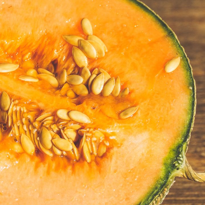 how to care for cantaloupes