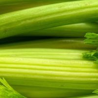 How to Care for Celery the 12 Step Guide