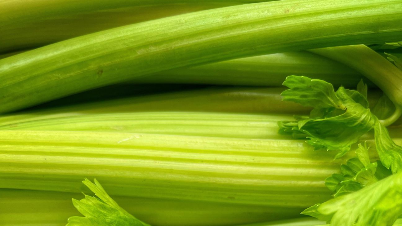 how to care for celery