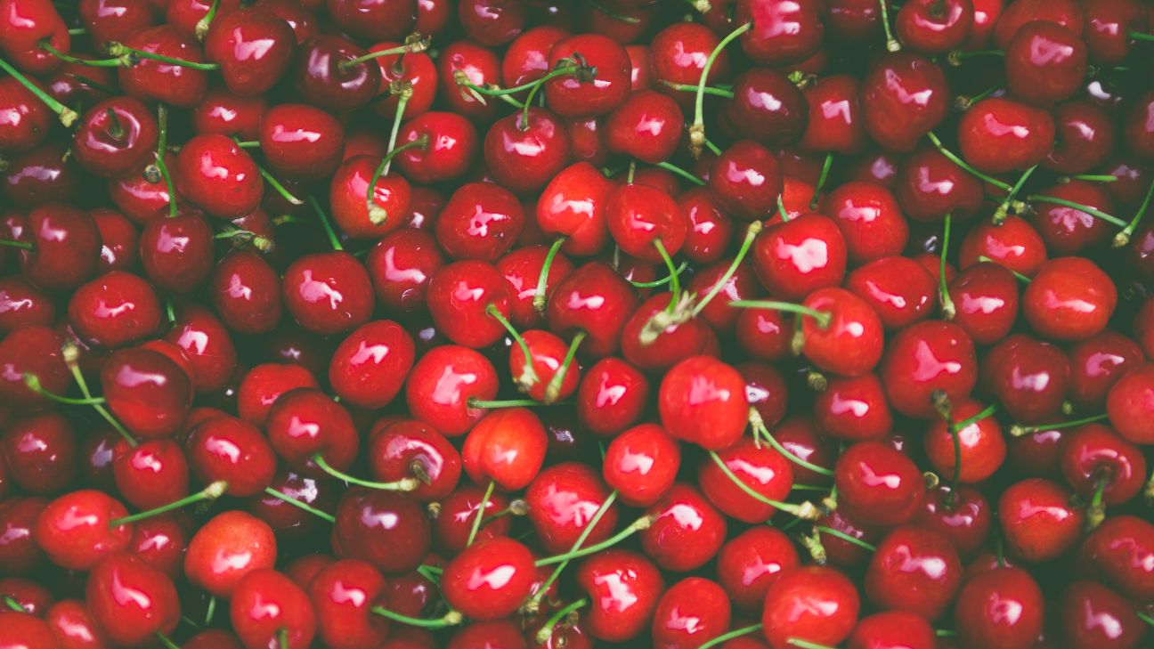 how to care for cherries