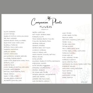 printable companion planting chart
