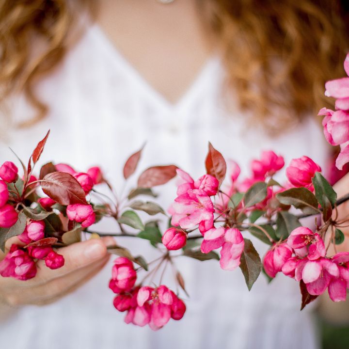 how to grow crabapples