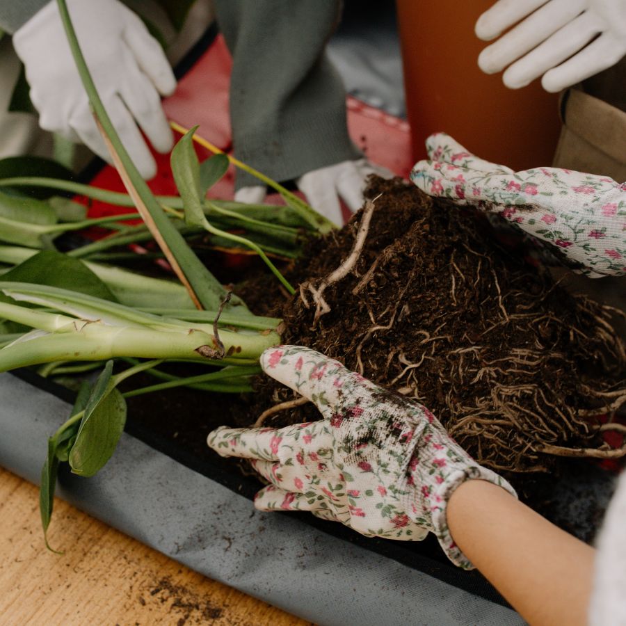 box planter ideas