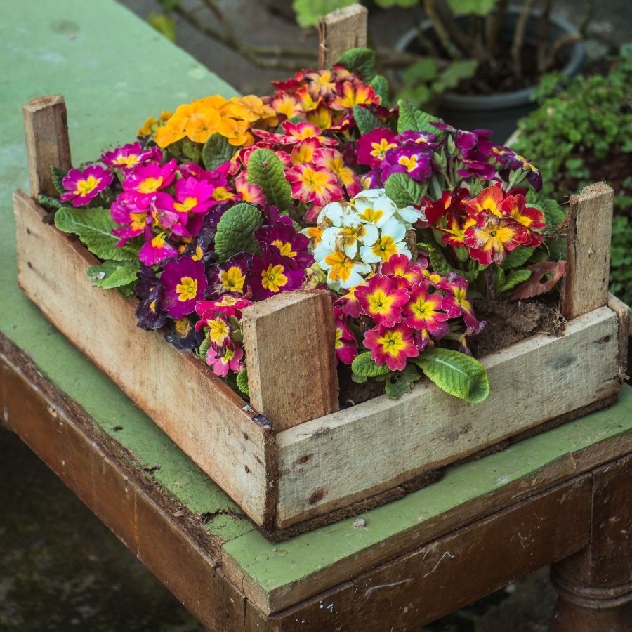 flowers in planter box vertical box planter