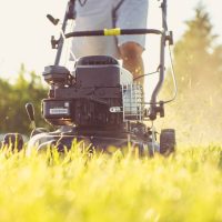 What is the Best Lawn Mower? 5 Sensational Mowers