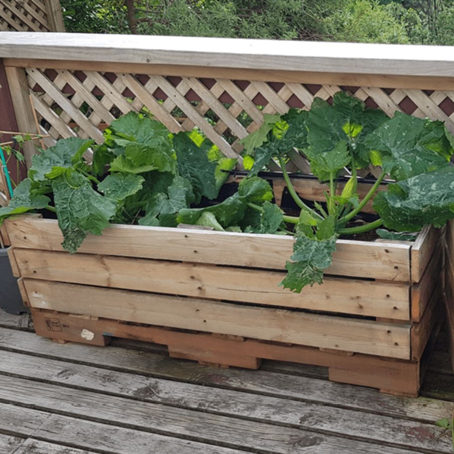 pallet planter box ideas