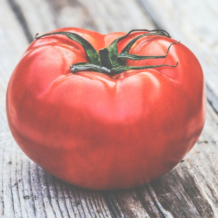 when is the best time to plant tomatoes