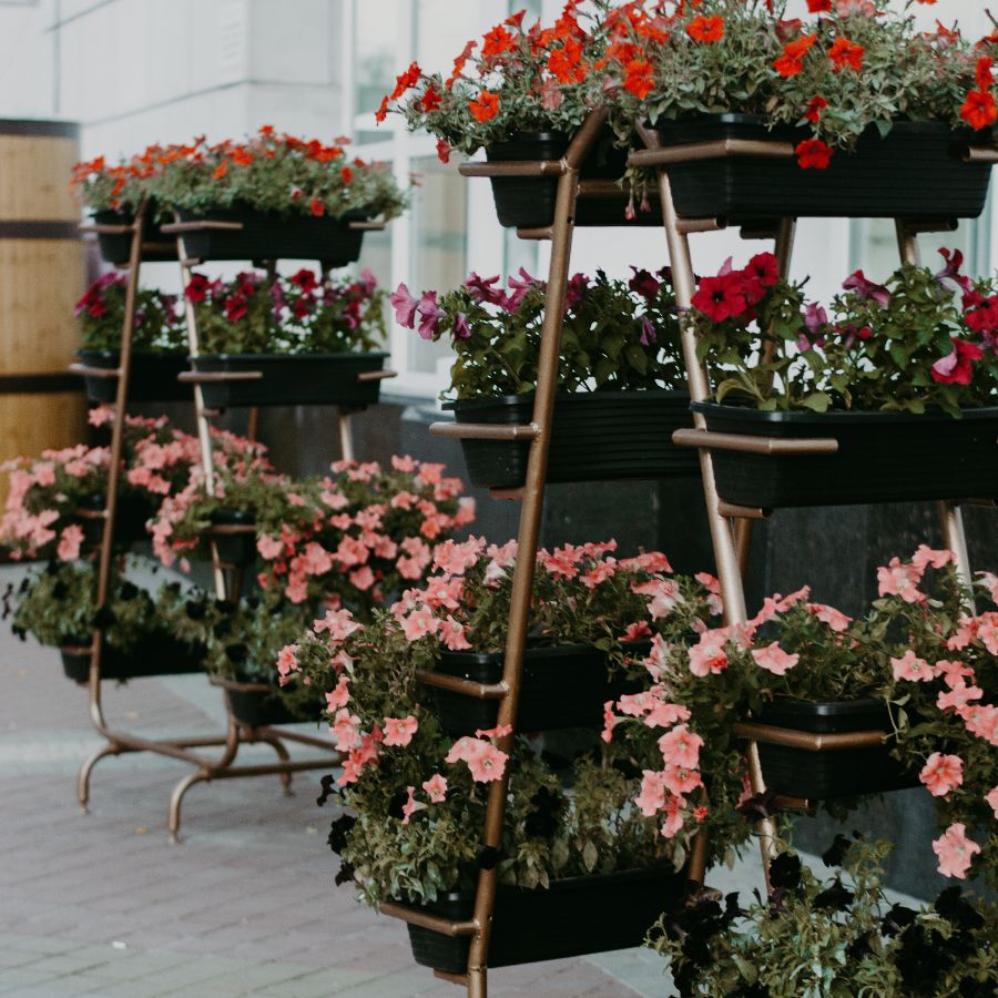 best time to water potted plants