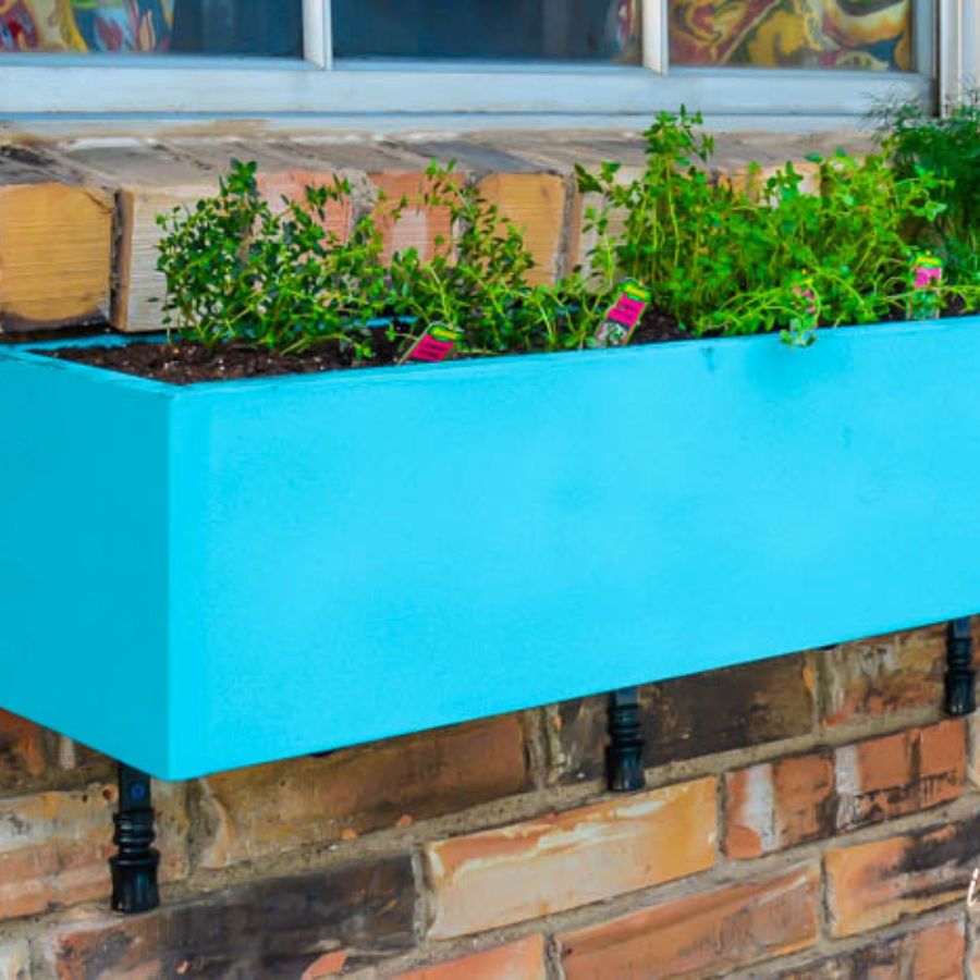 window box herb garden